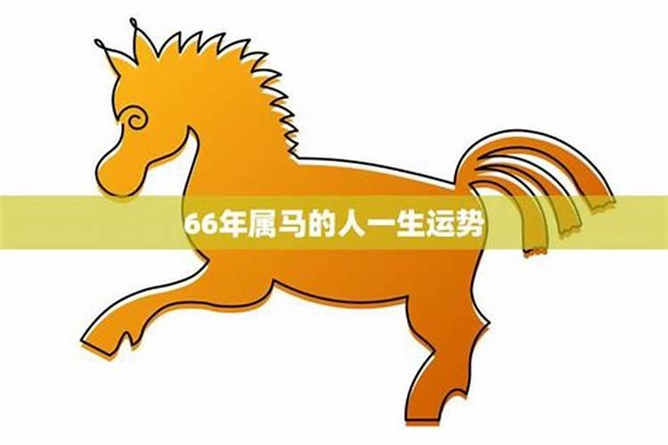 66年男马今年运气好吗