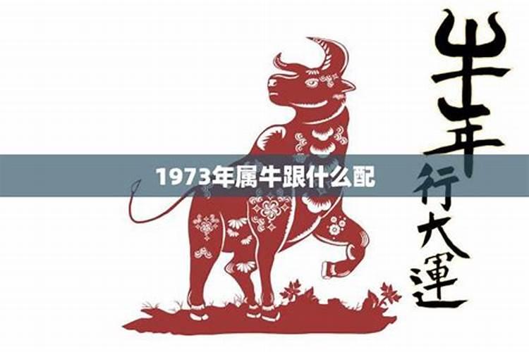 1973年属牛是什么星座啊