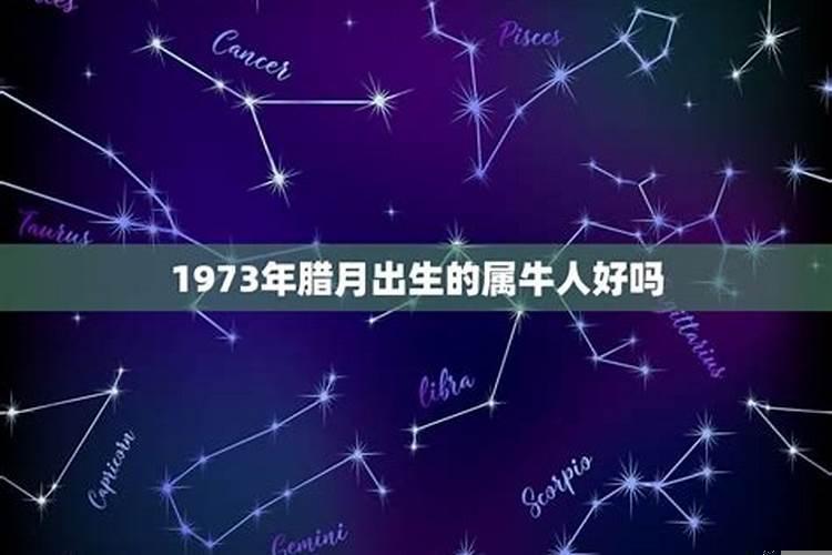 属牛什么星座啊