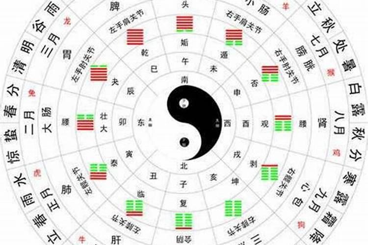 韬字在五行之中属什么