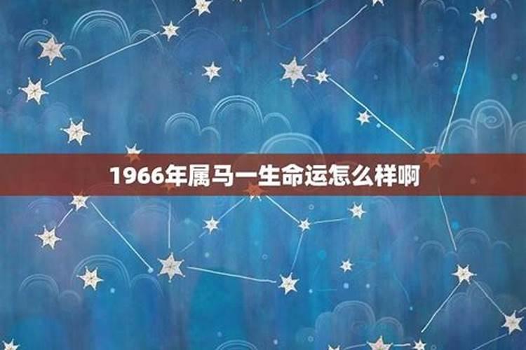 66年男马今年运气好吗