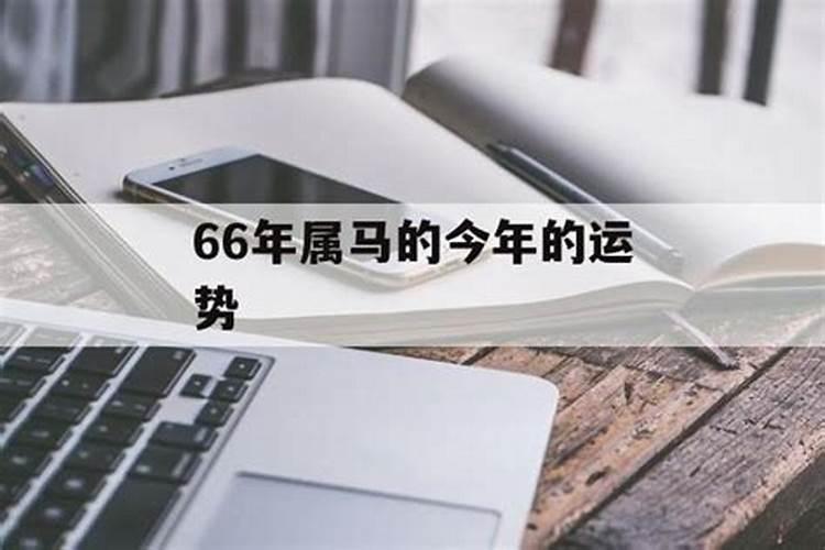 66年56岁属马财运