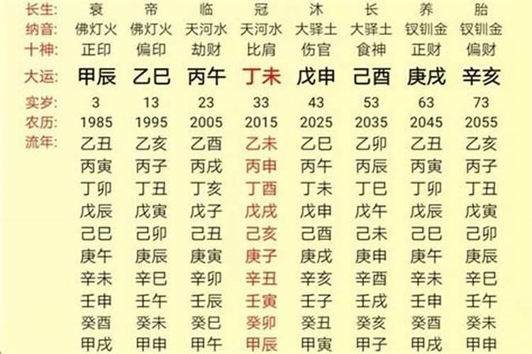 2024年五行是什么命