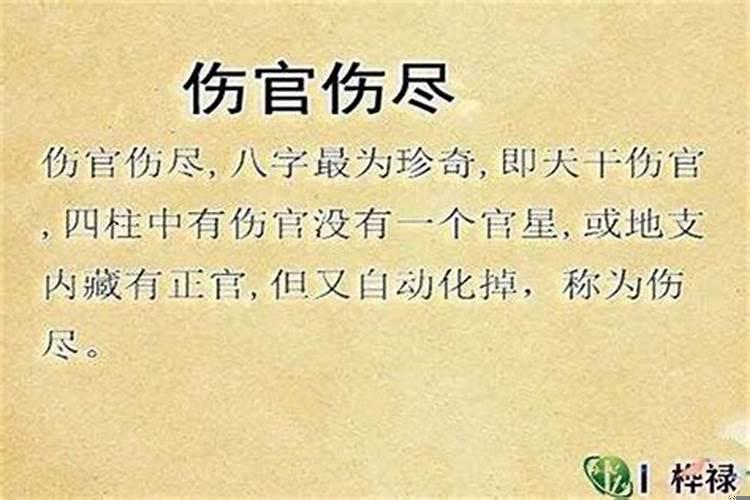 伤官男适合什么八字女