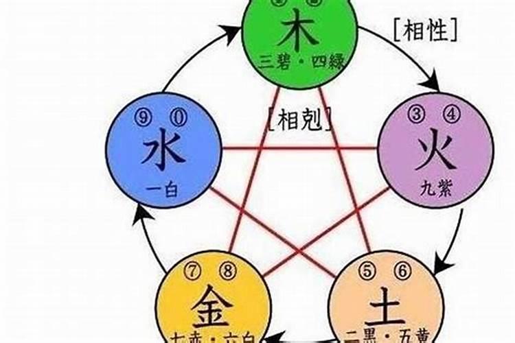 楚五行到底属什么