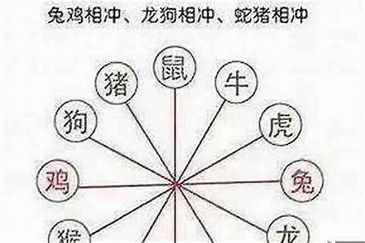 今天属相冲忌什么生肖的人