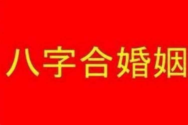 今年什么属相犯太岁怎么解