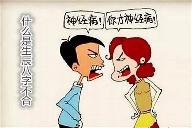 梦见前妻和老婆吵架