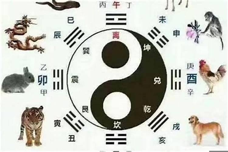 一九六七年属什么生肖呢