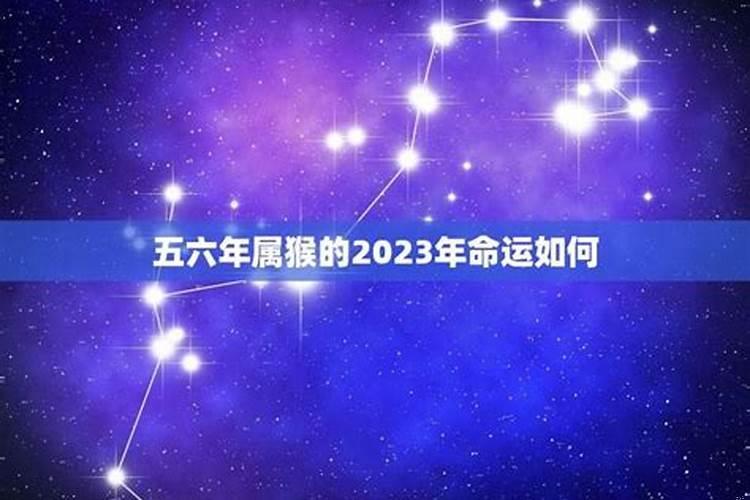 五六年属猴今年财运