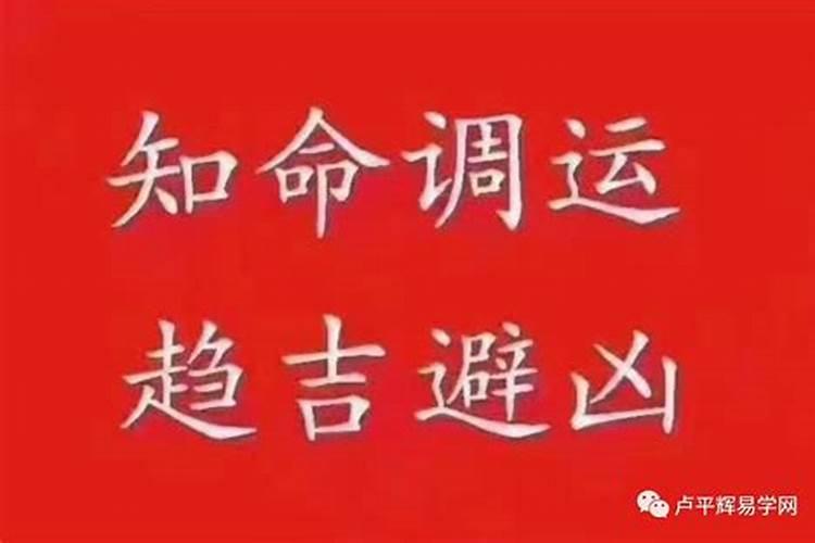 1996年正月初二出生的女子与1997年出生的牛配婚可行