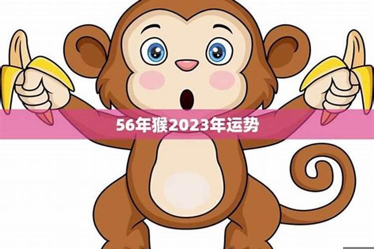 八零年猴2023年运势