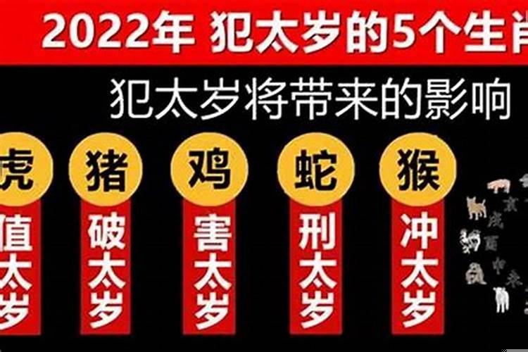 属蛇今年犯太岁吗2022岁