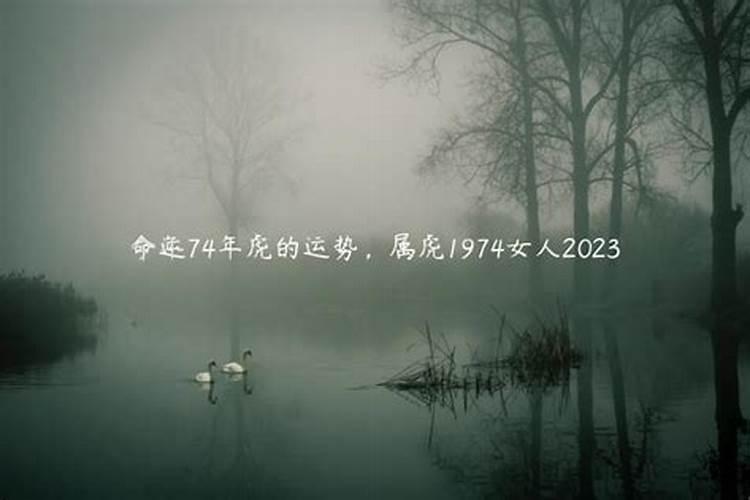 属蛇今年运势2023年运势如何看