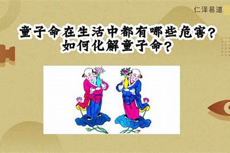 四月兔的今年运势如何呢