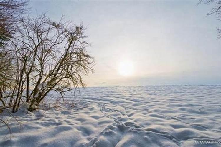 梦见雪地上有雪