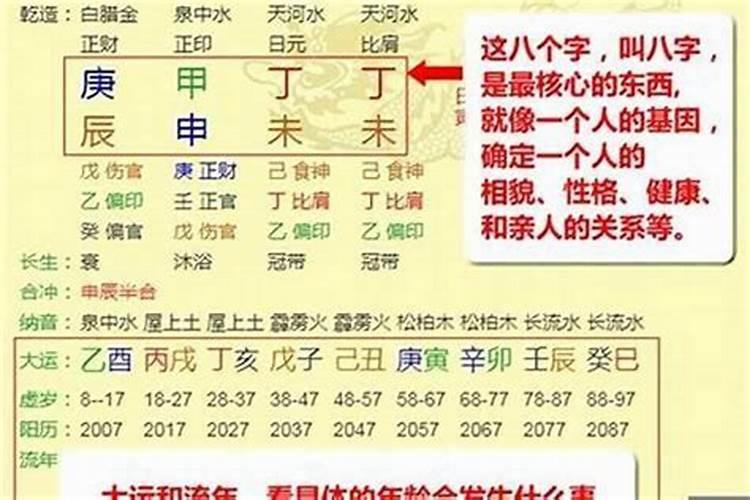 备孕梦见乌龟是胎梦吗周公解梦