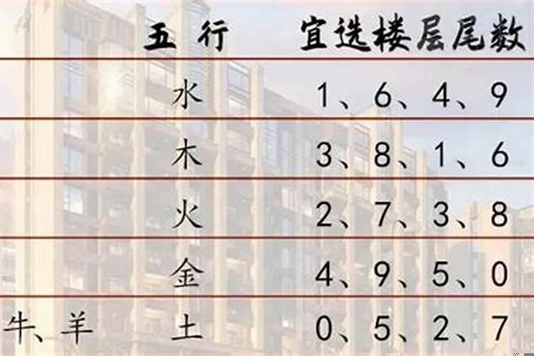 4楼五行属什么