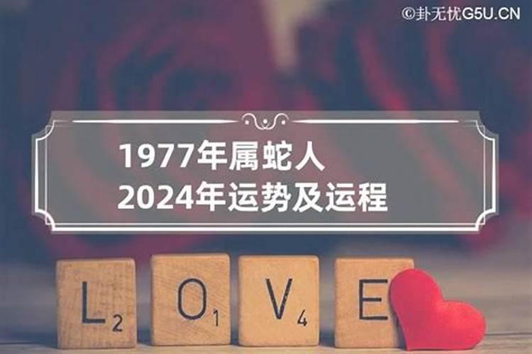 2023年属蛇人的全年运势男性1977