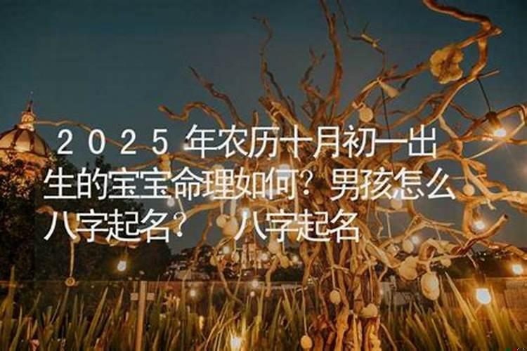 什么是疯牛病打一生肖