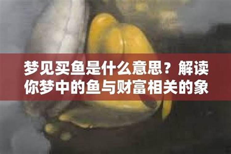 梦见乌龟只有壳没有身子和壳