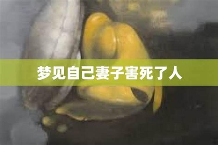 单身男人梦见老婆死了