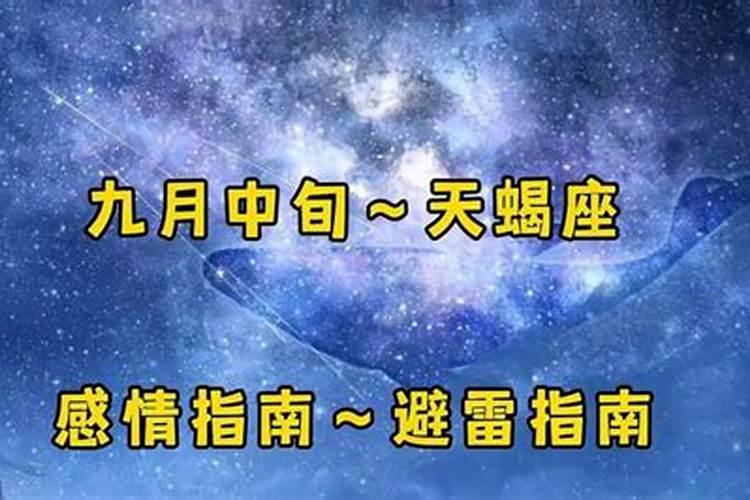 关于天蝎座的所有资料视频介绍