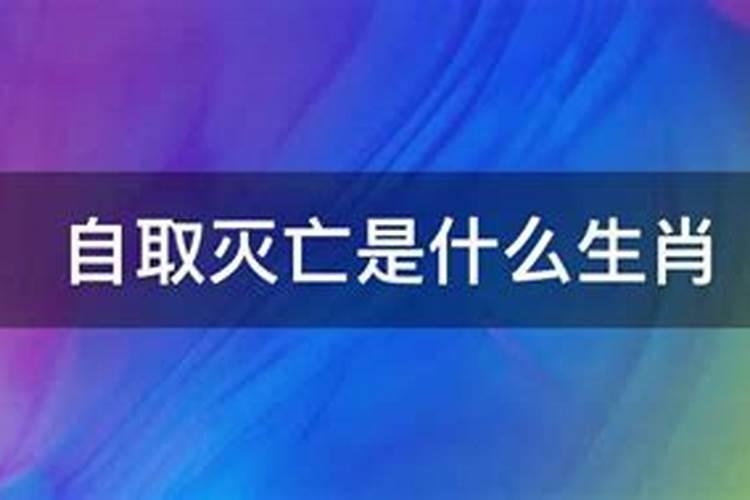 飞蛾扑火自取灭亡是什么生肖