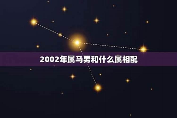 2002年的马配什么属相婚姻好