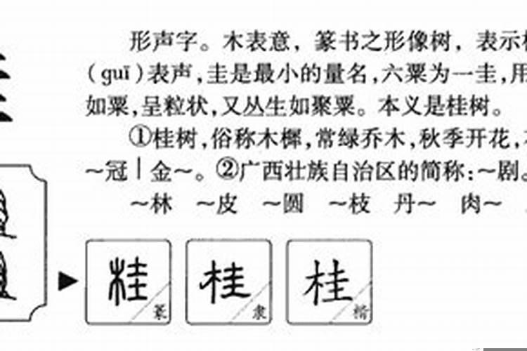 桂五行属性五行属什么