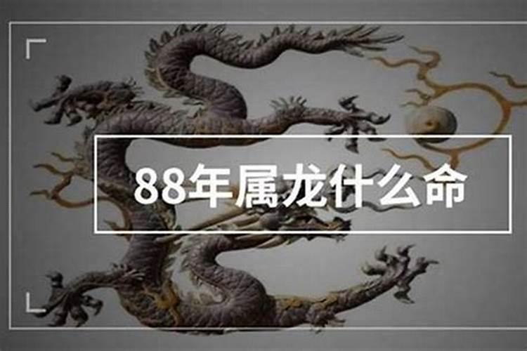 33牛和36狗合婚吗