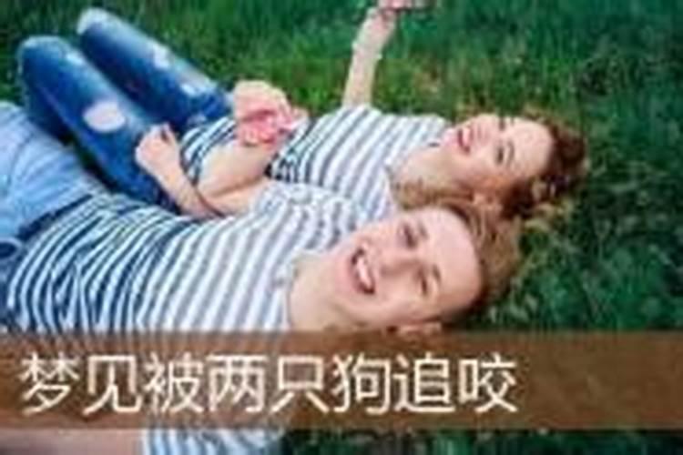 梦见被两只狗追咬是什么意思周公解梦