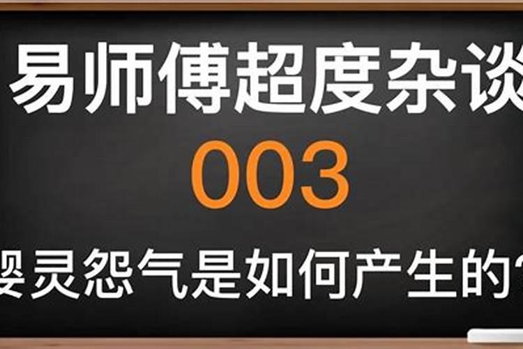 梦见家里的猫生小猫