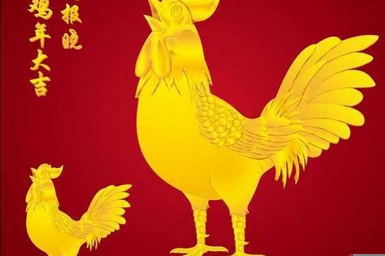 属鸡今年的运势怎么样