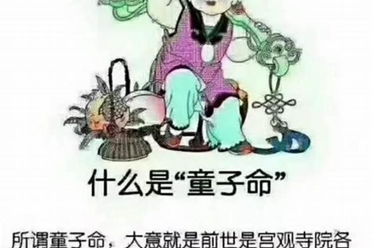 梦见自己手机坏了买新手机