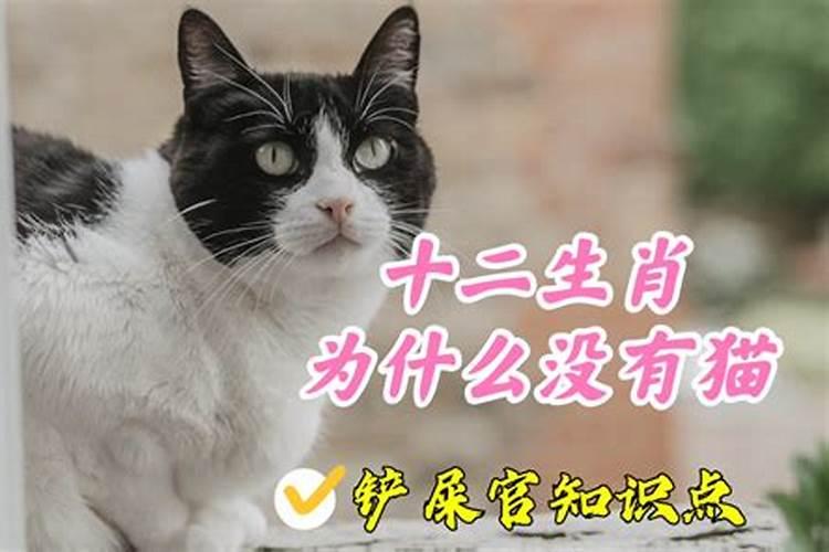 十二生肖为什么没有鸭和猫