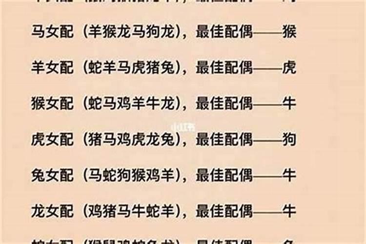 男属马的和什么属相最配、相克