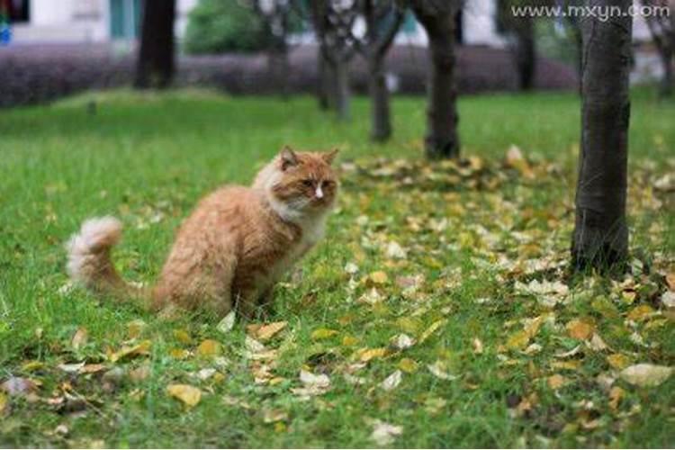 梦见和学生谈话很开心