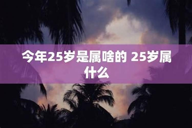 25岁属什么的今年多大