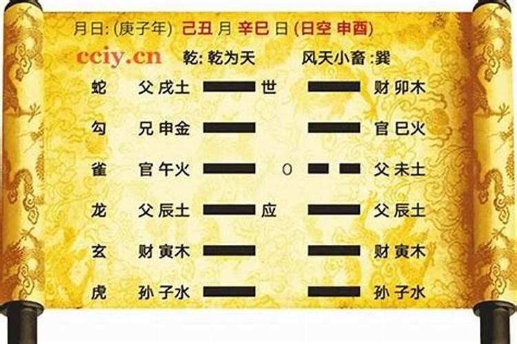 11楼在风水里代表什么数字