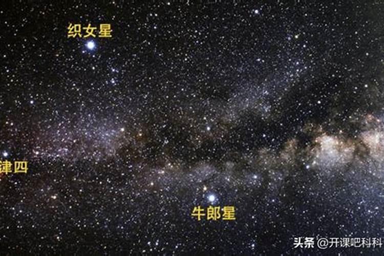 牛郎星属于那个星座