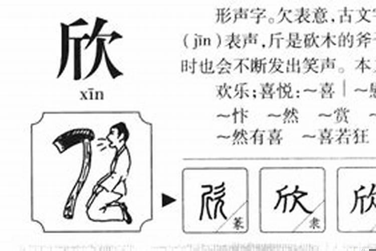 陈字的五行属