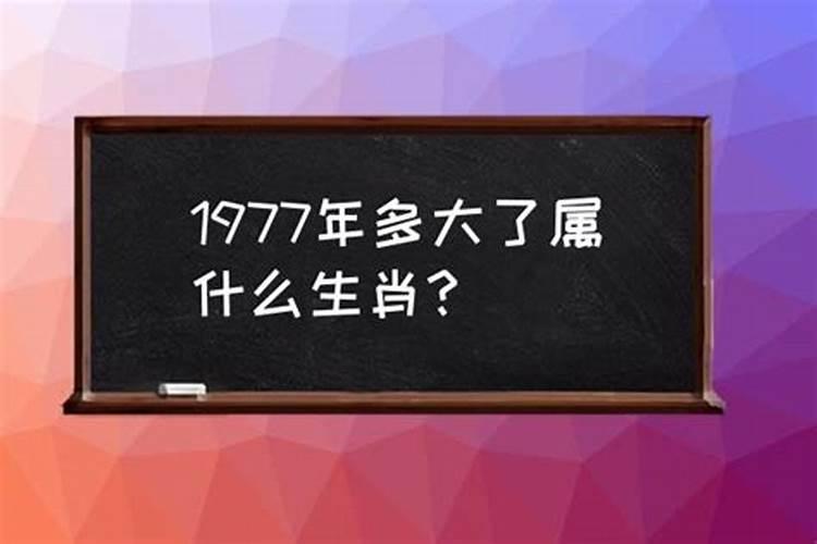 冬至祭祀送什么花