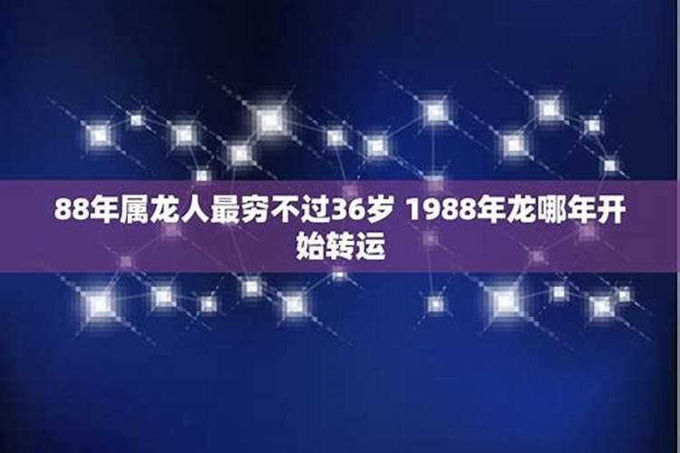 1988年属龙人2023年运势及运程