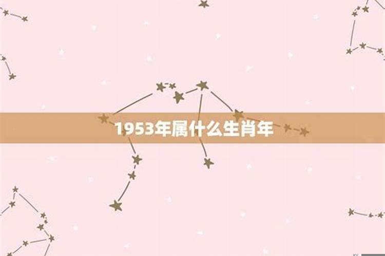 1953属相属什么生肖