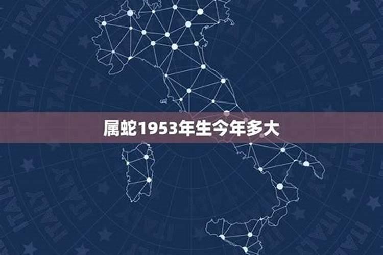 1954属蛇的今年多大年龄