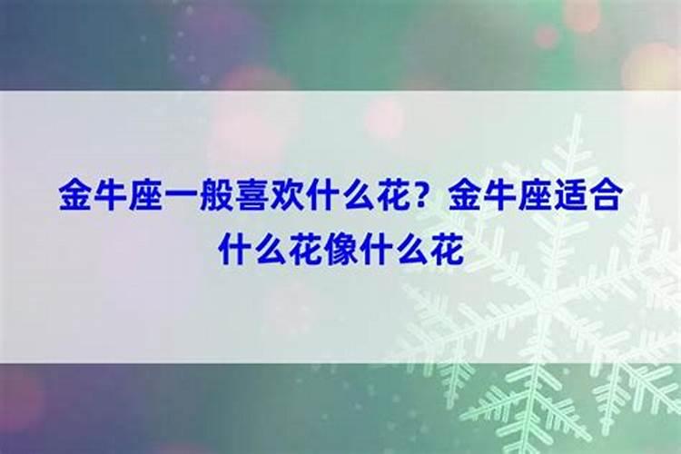 金牛座适合什么花像什么花