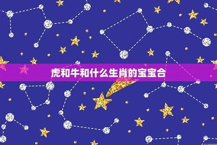 属虎和属牛的适合生什么宝宝