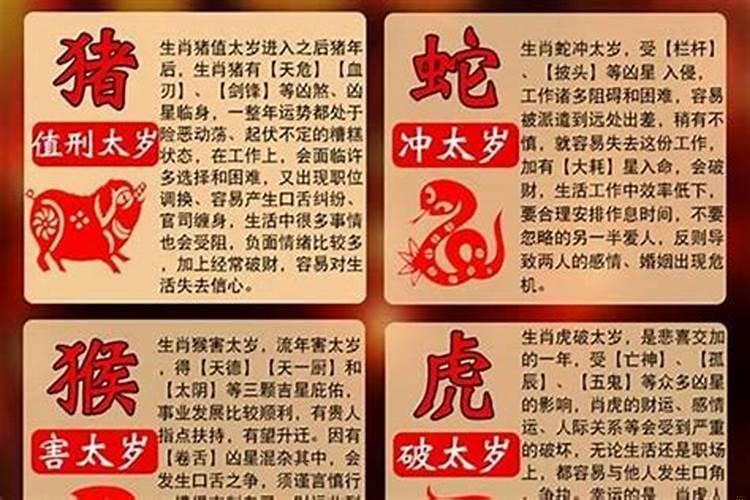 属虎和属猪的八字合不合