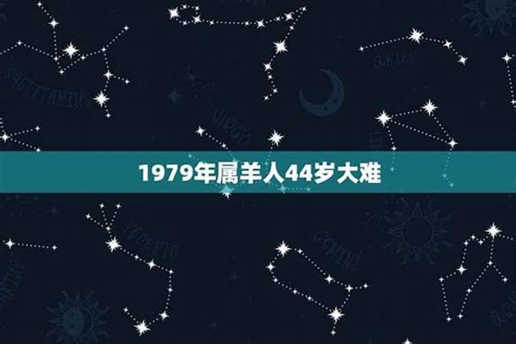 1979年属羊43岁运势